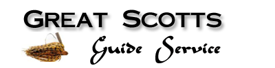 Great Scotts Guid Service